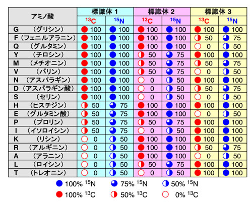 図1. 符号化標識法における安定同位体標識パターン（符号語表）の例