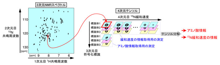 図2. 符号化標識法で得られたスペクトルを用いた、信号の分離と情報の取出し