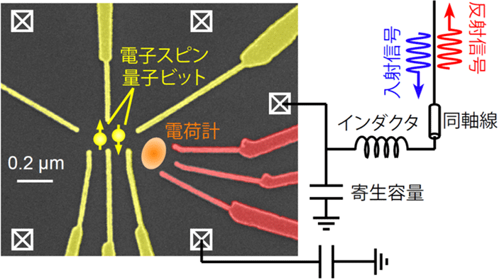 シリコン量子ドット試料と高周波反射測定セットアップ