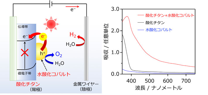 酸化チタンと水酸化コバルトからなる複合材料を用いた可視光照射下での光電気化学的水分解。酸化チタンのバンドギャップ（＝伝導帯と価電子帯のエネルギー差）は大きいため400 nm以上の可視光を吸収できないが、水酸化コバルトから酸化チタンへの電子遷移が生じることで幅広い可視光の利用が可能となった。