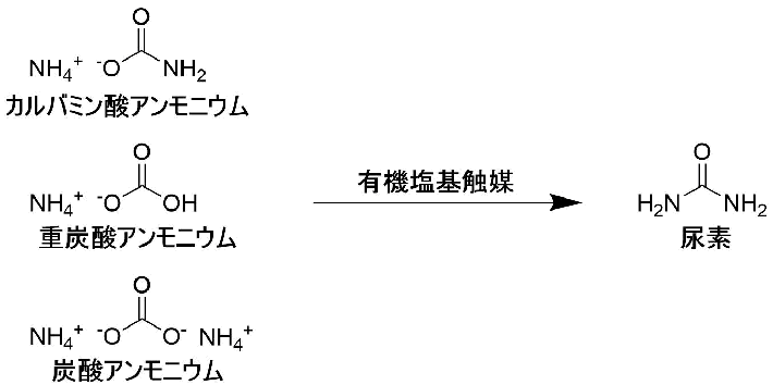 廃水中のアンモニアを資源に変える触媒を発見 有害物質処理から有用物質製造へ 東工大ニュース 東京工業大学