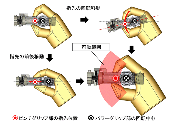 図3. 同平面図。グリップ部分から30～50 mmの範囲であれば、腕そのものを動かすことなく、指先を動かすことができる。