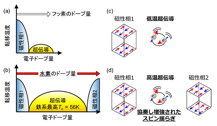 (a, b) LaFeAsO1−xFxおよびSmFeAsO1−xHxの電子相図。(c, d)従来の鉄系超伝導発現モデルと我々が提案している協奏的スピン揺らぎによる鉄系高温超伝導発現モデル