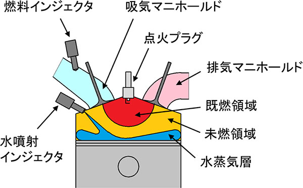 図1. 本研究におけるガソリンエンジン筒内水噴射の概略図