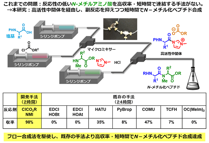 図1. N－メチル化ペプチドの短時間・高収率での合成