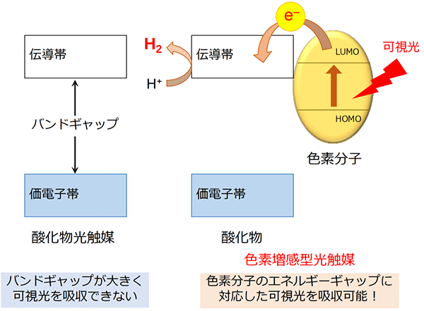 図1. 酸化物と色素分子を組み合わせた可視光駆動型水分解光触媒。