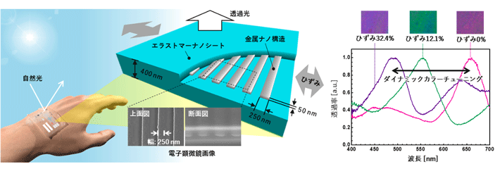 伸縮性カラーシートの構造と伸び縮みの際の色変化