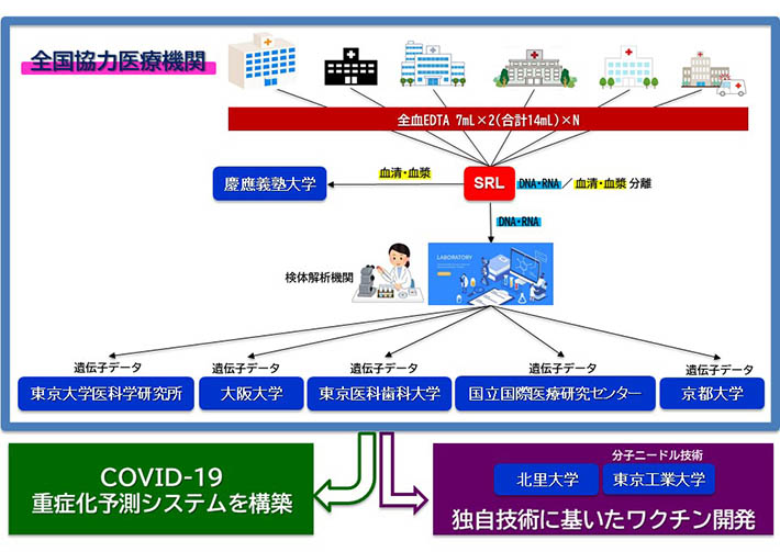 図4. コロナ制圧タスクフォースの概要