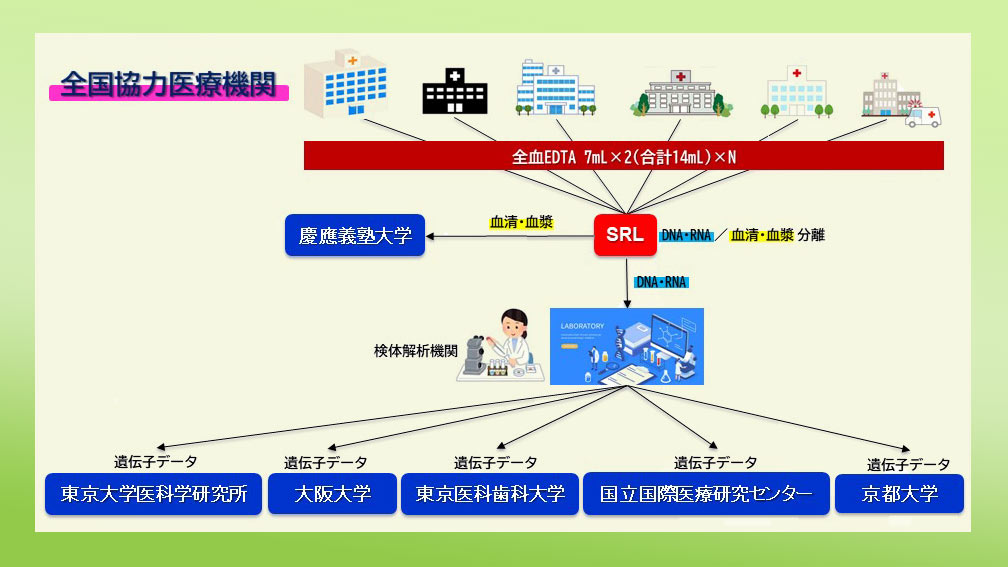 化 型 重症 コロナ 血液