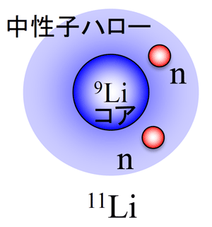 図1. 典型的な中性子ハロー核の例：11Liは、9Liコアの周りに2個の中性子からなる外縁部「中性子ハロー」を持つ。