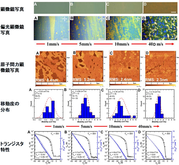 図3. 基板の引き上げ速度（A：1 mm/s、B：5 mm/s、C：10 mm/s、D：40 mm/s）と形成された結晶膜の光学顕微鏡写真、偏光顕微鏡写真、AFMによる表面観察像、作製したトランジスタの特性と移動度の分布（250個）