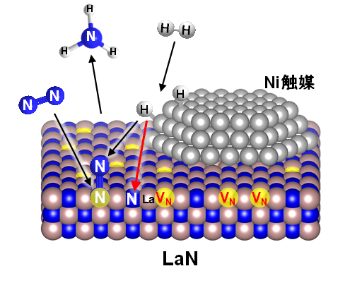 図1. Ni/LaNによるアンモニア合成の反応メカニズム