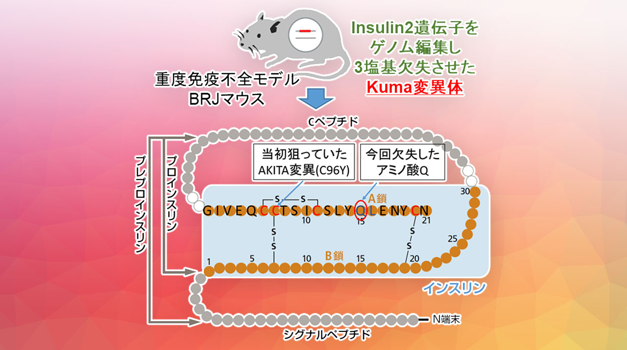 東京工業大学
