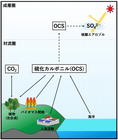 図1. 硫化カルボニル（OCS）の起源・消失源