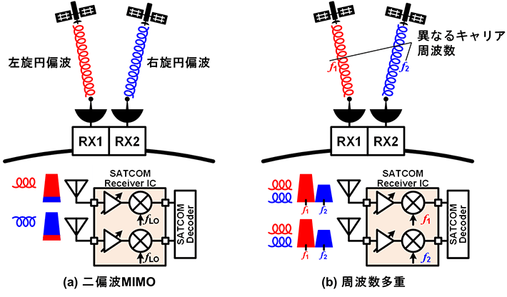 図1. 内蔵する2系統の受信機によって(a)二偏波MIMOおよび(b)周波数多重に対応