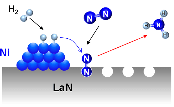 図1. Ni担持LaNでのアンモニア合成の機構。キーとなる窒素分子の活性化を窒素欠陥が担っており、ニッケルは水素の解離のみを行う。
