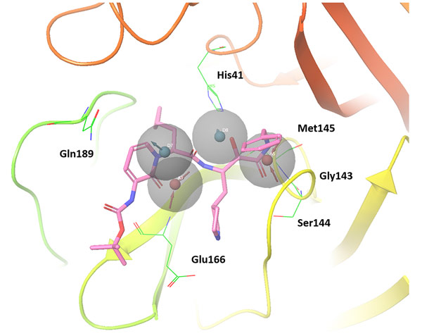 図2. SARS-CoV-2のメインプロテアーゼと医薬品候補であるα-ケトアミド阻害剤に関して、本研究でモデリングしたファーマコフォアへの適合を検証