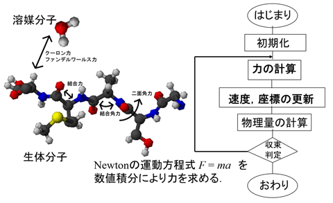 分子動力学シミュレーション