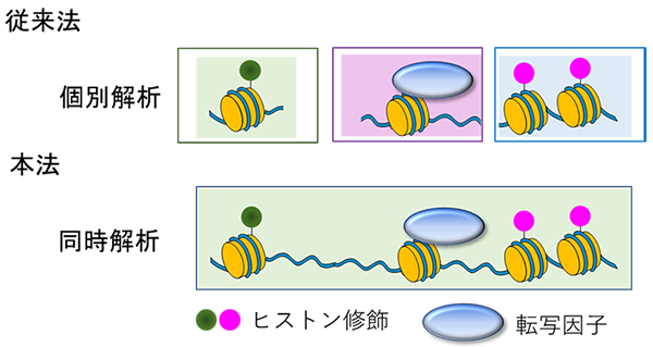 従来は複数のエピゲノム情報を個別で解析していたが（上図）、本法mtChILでは、同時に複数のエピゲノム情報を解析できる。