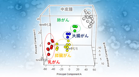 血液内のエクソソームをバイオマーカーとしたがん診断法の開発