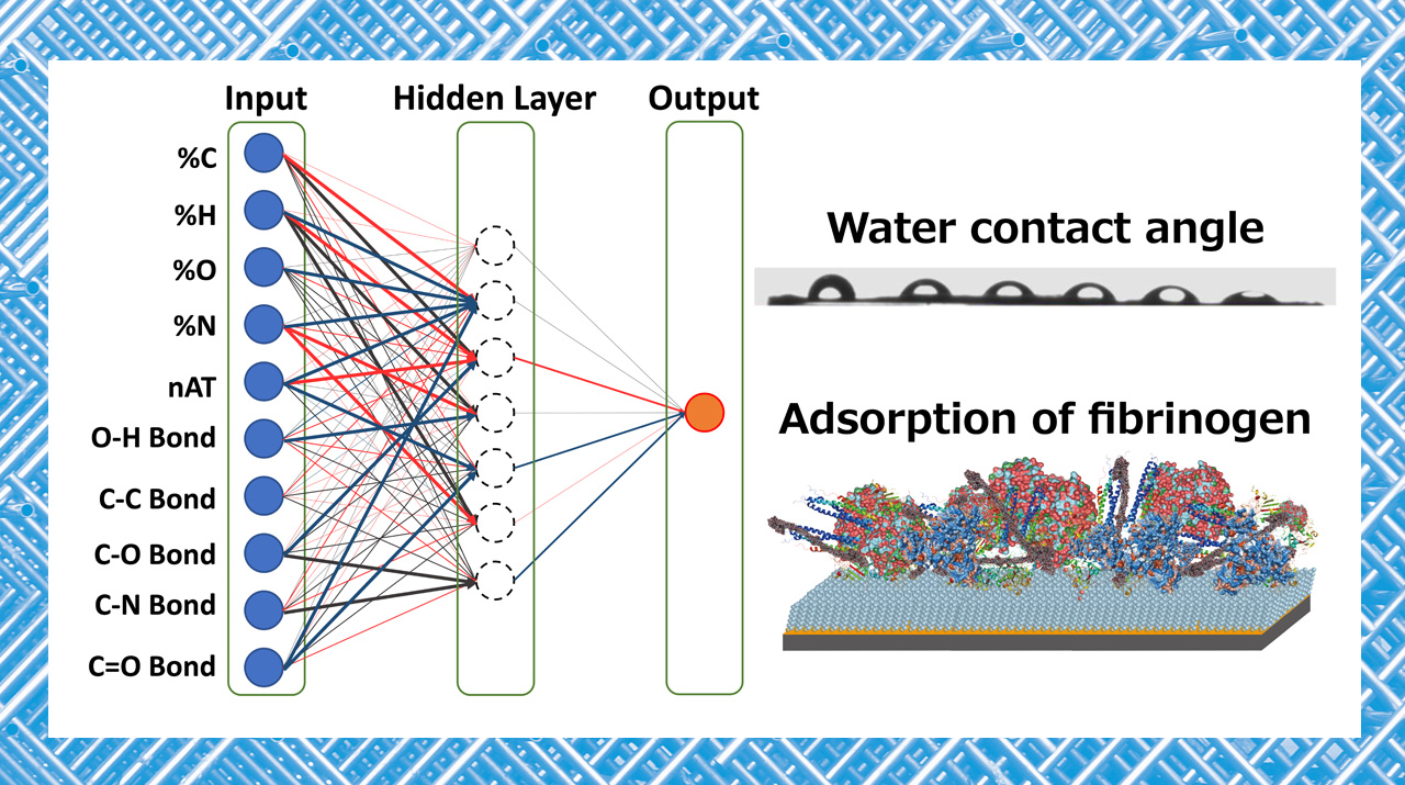 AIを使い生体材料（バイオマテリアル）の設計に成功 機械学習で生体
