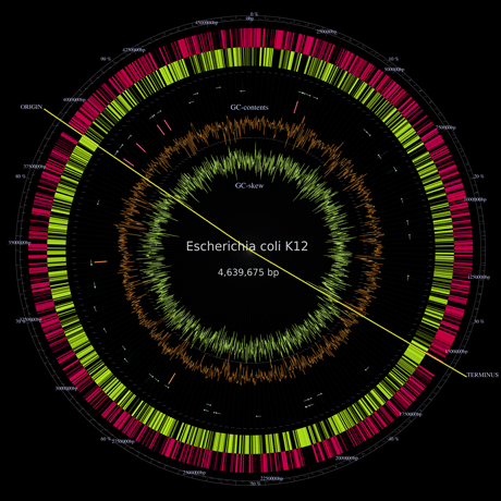 国内初のゲノム構築グループが発足（G-language Genome Analysis Environment による出力）