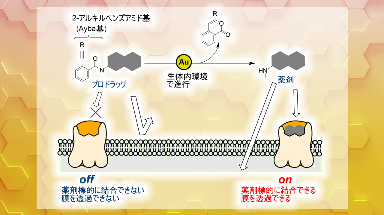 有機金属化学: 基礎から触媒反応まで | 山本 明夫 |本 | 通販