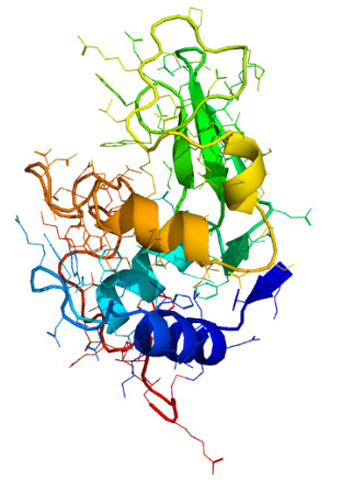 図1. タンパク質リゾチーム分子。プロテインデータバンクの構造情報を用いて描画している。