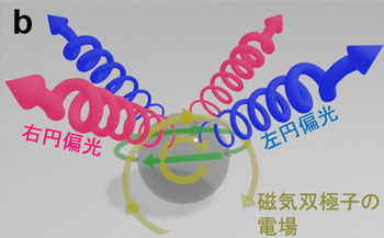 球体からの円偏光放射のコンセプト。（b）電気・磁気双極子の干渉による円偏光の生成。
