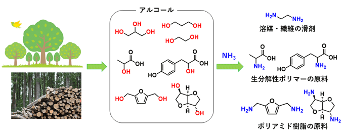 図1. バイオマス由来アルコールとアンモニアの反応による高付加価値化