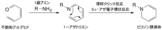 理研クリック反応