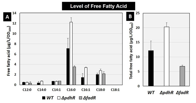 図2. PdhRが細胞内の脂質濃度に与える影響。脂質の組成（A）と総脂質量（B）の定量結果。