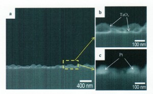 TaO<sub>x</sub>ナノ粒子薄膜でキャップされた白金ナノ微粒子触媒の走査型電子顕微鏡による断面プロフィル