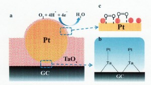 TaO<sub>x</sub>ナノ粒子薄膜でキャップされた白金ナノ微粒子触媒への酸素の吸着および4電子還元反応