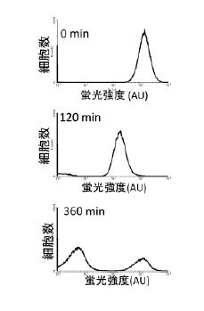 図4 実験による多様化の確認。