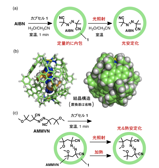 図2 (a) AIBNを内包した分子カプセルの合成と光安定化。 (b) AIBN内包カプセルの結晶構造：シリンダーモデル(左)と空間充填モデル(右)。 (c) AMMVN内包カプセルの合成と光・熱安定化。