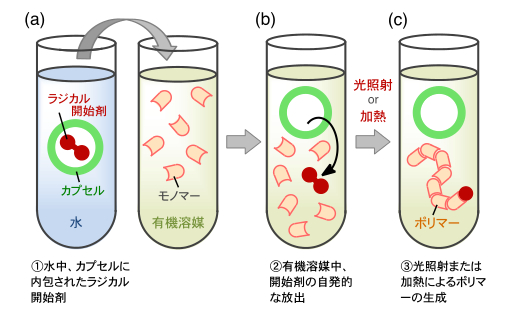図3 内包されたラジカル開始剤を利用したポリマー合成: (a) 水中で作製したカプセル化開始剤、(b) 有機溶媒中でカプセルからの開始剤放出、(c) 光照射または加熱によるポリマー合成。