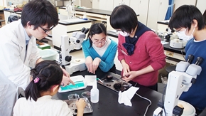 科学教室「棘皮動物の不思議な世界」開催報告
