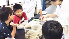 科学教室「生命現象」「海辺に棲む生物の観察」開催報告