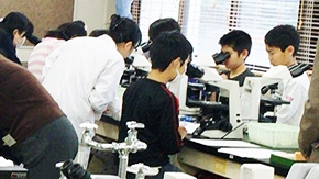 科学教室「植物のミクロな動きを顕微鏡で観察しよう」開催報告