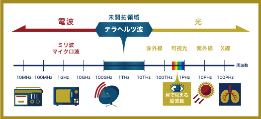 図1 : テラヘルツ波の周波数領域