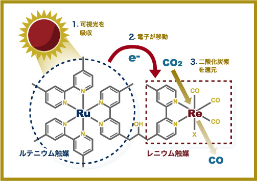 図：レニウム-ルテニウム光触媒