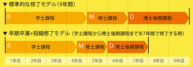 飛び入学（Early admission to graduate school）