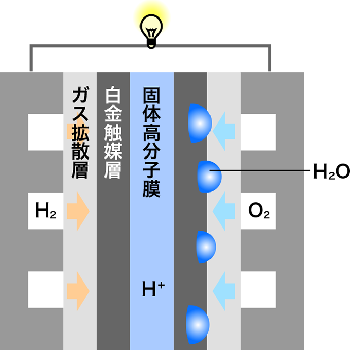 燃料電池のセルの構造