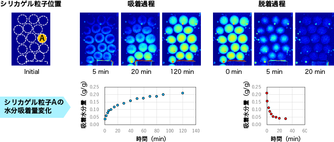 シリカゲル粒子内水分吸脱着過程のX線可視化解析結果