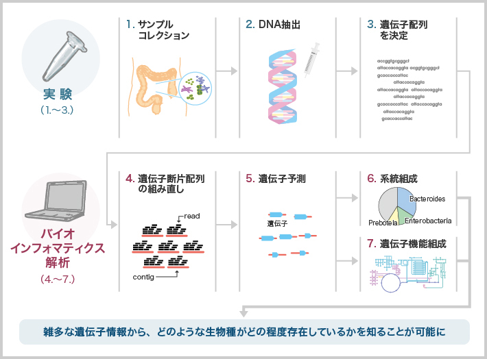 図：メタゲノム解析