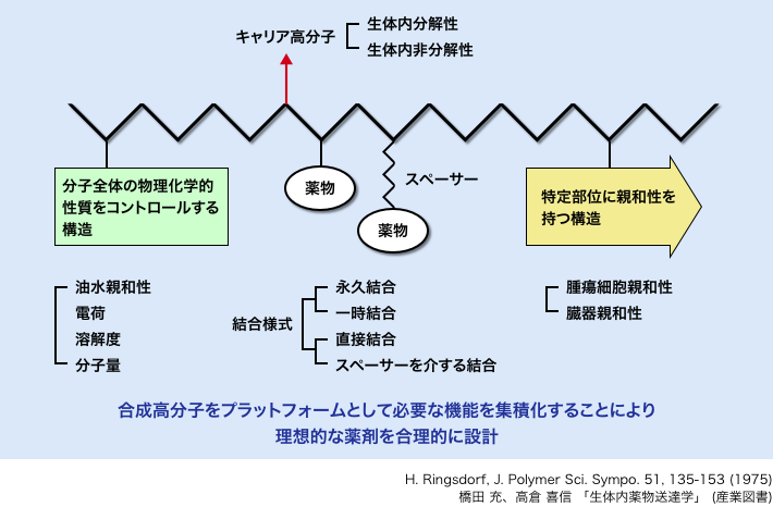 高分子科学者H. リングスドルフによる高分子医薬モデル