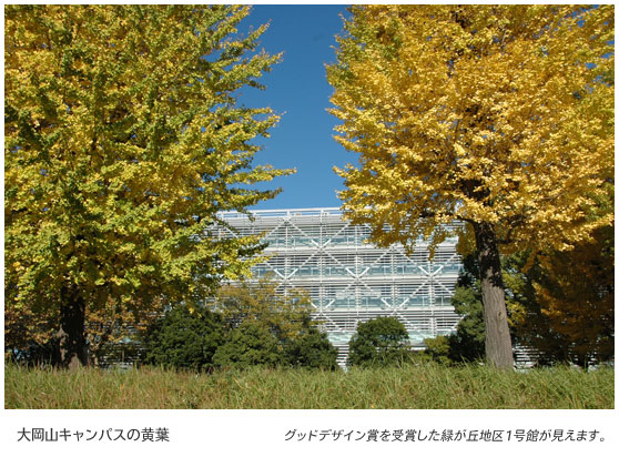 大岡山キャンパスの黄葉　グッドデザイン賞を受賞した緑が丘地区1号館が見えます。