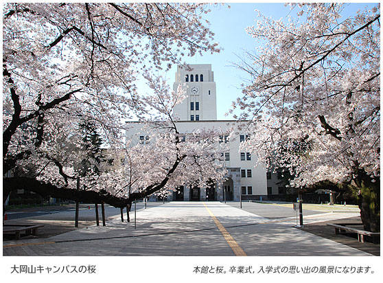 大岡山キャンパスの桜　本館と桜。卒業式、入学式の思い出の風景になります。