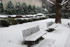 大岡山キャンパスの雪景色　雪が積もったベンチ。手島先生像も寒そうです。